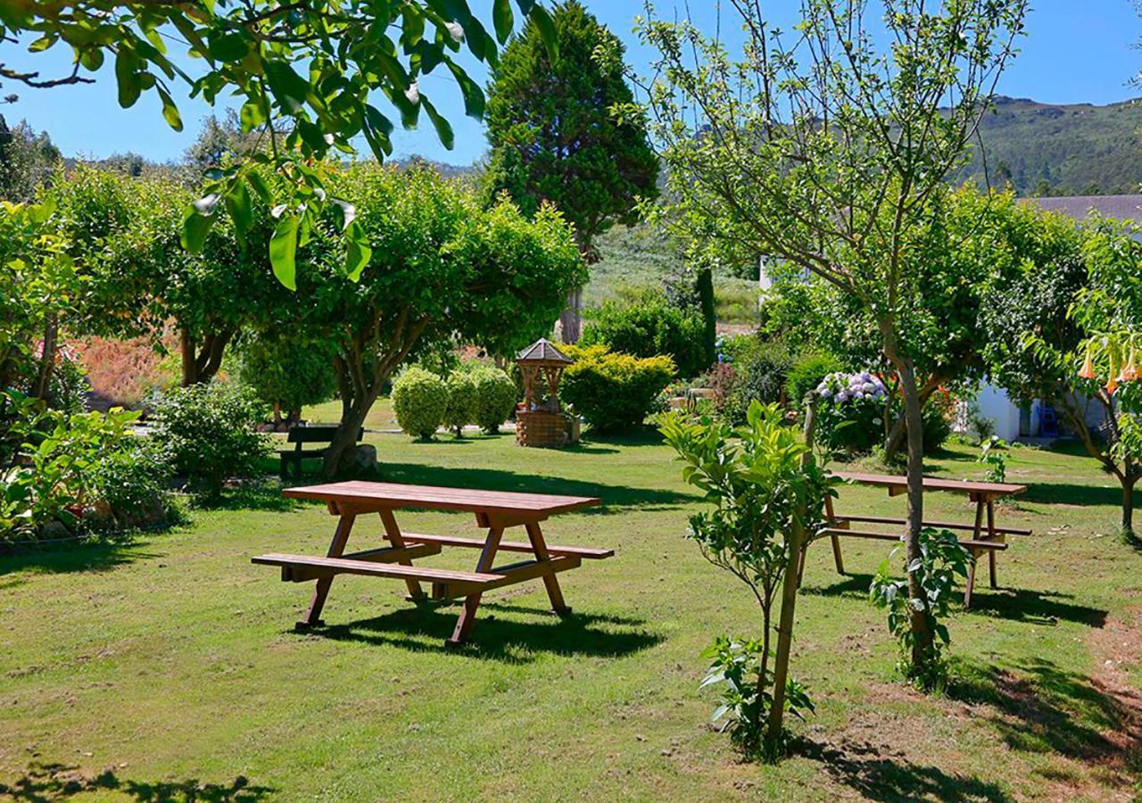 Casa Elena Turismo Rural Reinante Ngoại thất bức ảnh